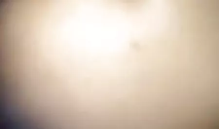 छात्र जोसिन, टाली स्कूल के शिक्षक और दो लोगों के साथ समूह के शरीर रचना विज्ञान बॉलीवुड की सेक्सी मूवी