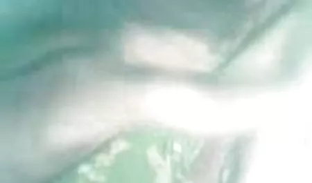 डैनी ने एक दोस्त की छोटी बहन सेक्सी मूवी भेजिए के साथ लुका-छिपी खेली और एक लड़की को चूमा