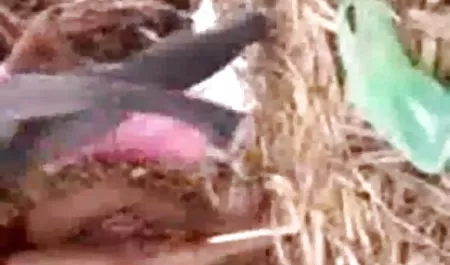 काई ने एक कपड़े की सेक्सी फिल्म भेजो ना दुकान में एक नरम सोफे पर एक दोस्त के साथ जुनून पोस्ट किया