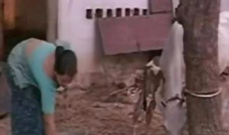 एबी सी के हाथों सेक्सी मूवी हिंदी फिल्म में दो रबर डिल्डो दिखाई दिए