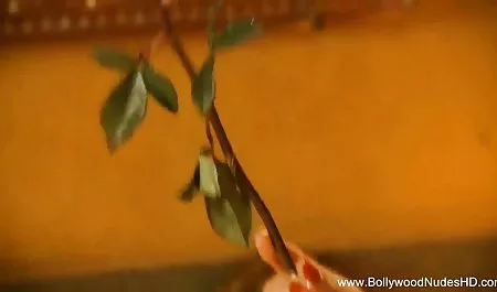 बस्टी बॉलीवुड की सेक्सी मूवी वयस्क मुलतो का प्रेमी व्युत्पन्न अंतराल