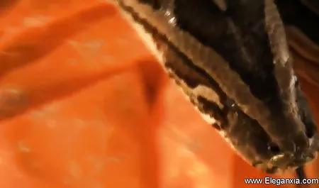 मैं महाराज से चिपक गया सेक्सी वीडियो की फिल्म